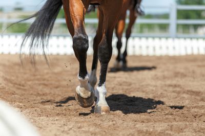 Horse Arena Footing - Jem Horse Barns Walsenburg, Colorado
