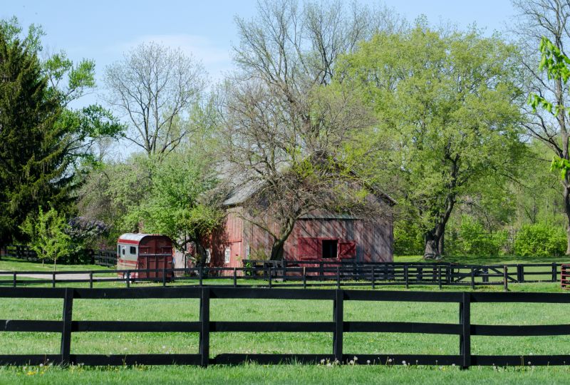 Horse Barns in Fall