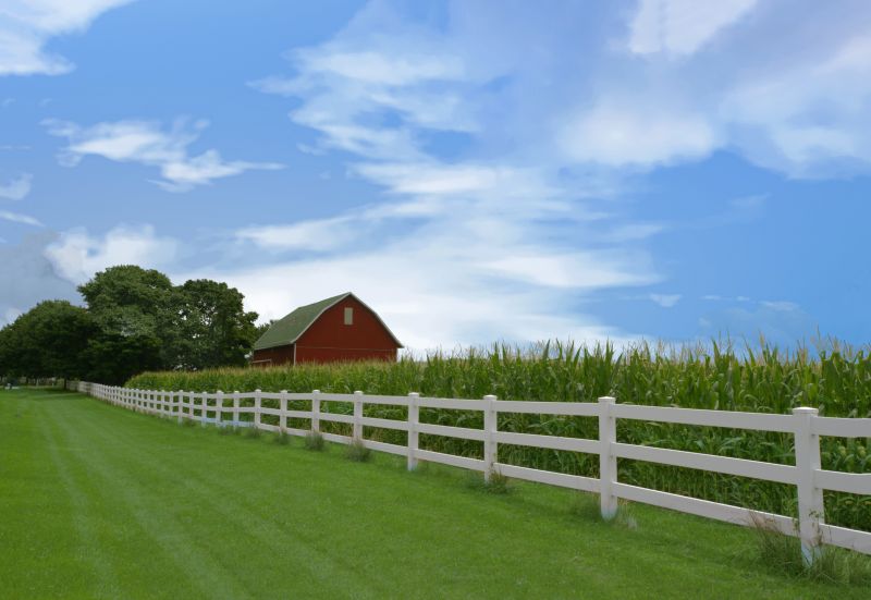 Horse Barns with Pasture