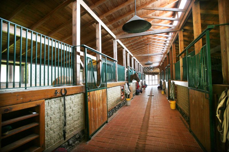Open-Air Horse Barn